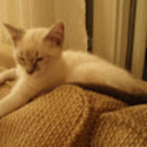 Meet your Posher, Laura